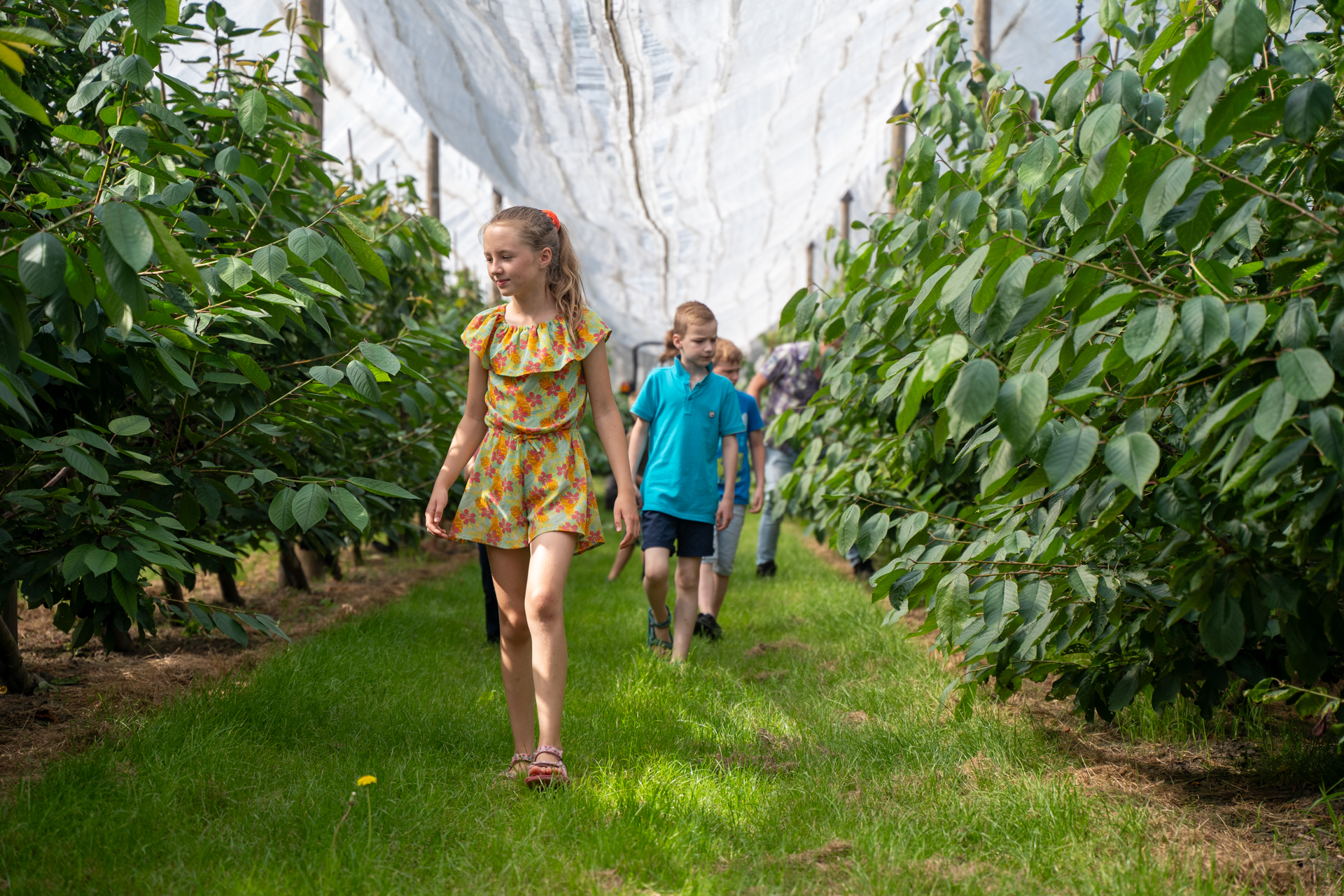 Boerderijeducatie ZH-eilanden-26