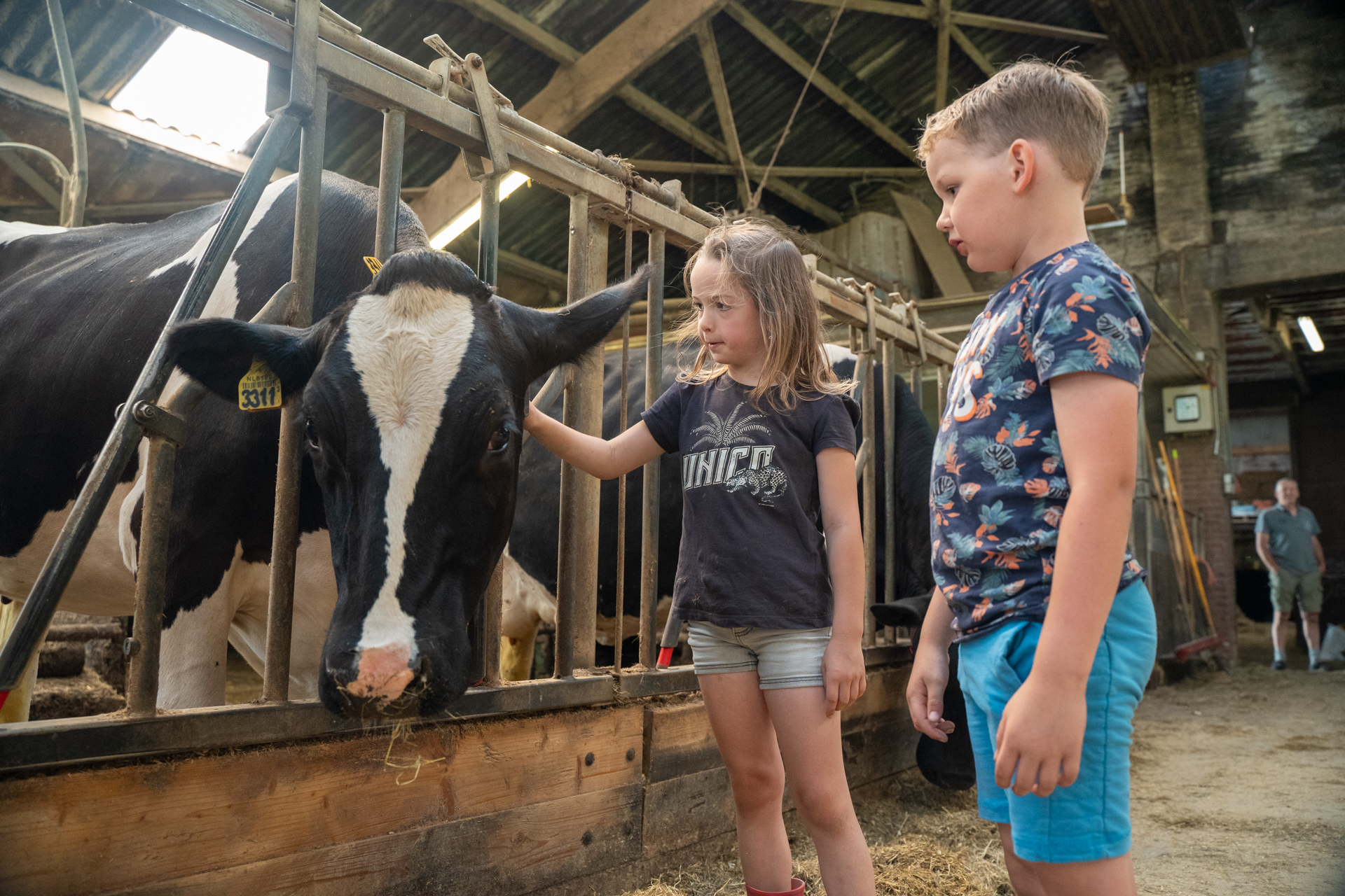Boerderijeducatie ZH-eilanden-41