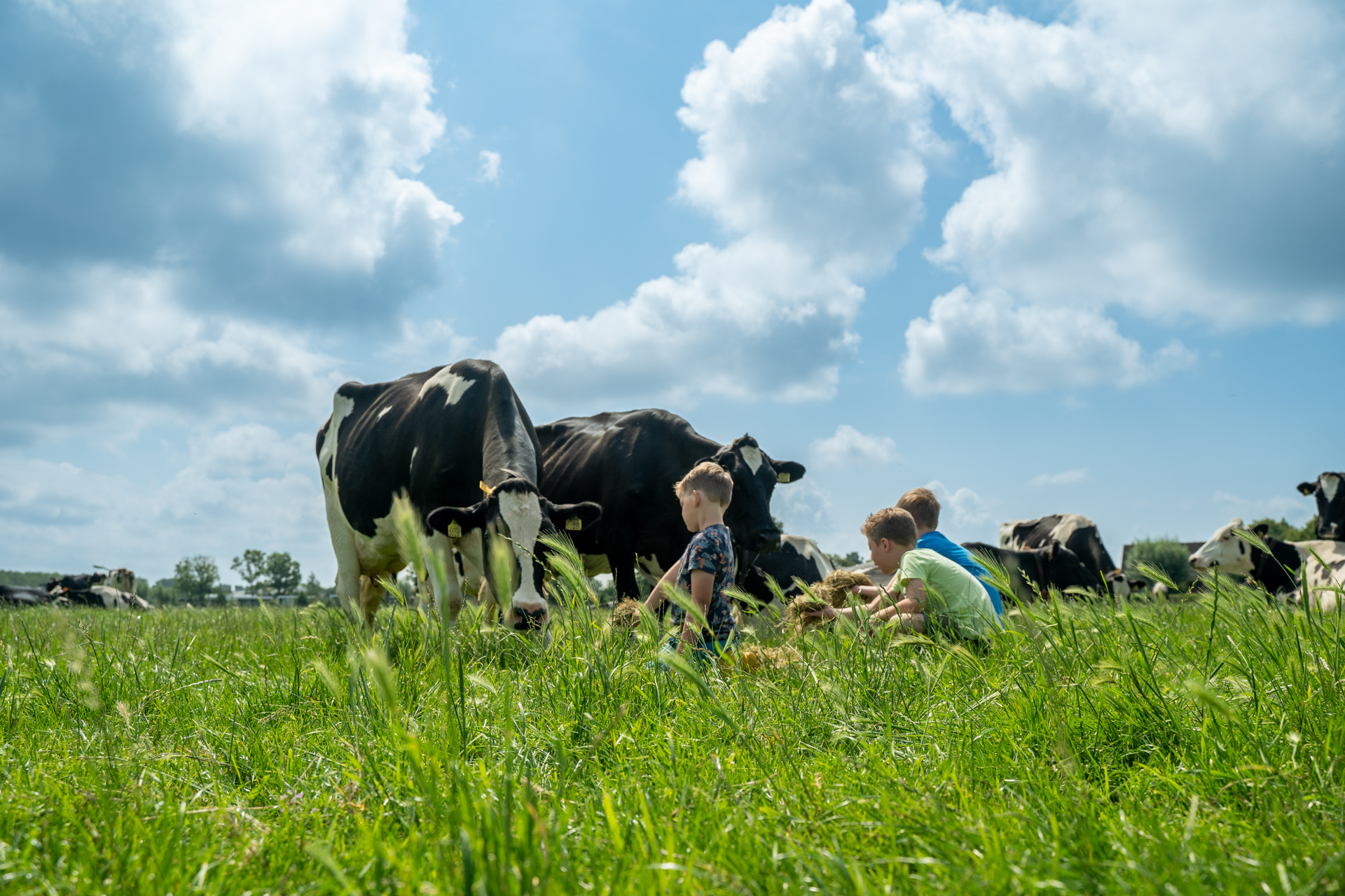 Boerderijeducatie ZH-eilanden-45